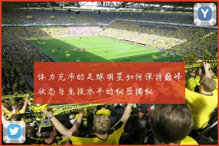 体力充沛的足球明星如何保持巅峰状态与竞技水平的秘密揭秘