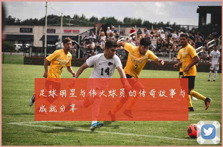 足球明星与伟大球员的传奇故事与成就分享