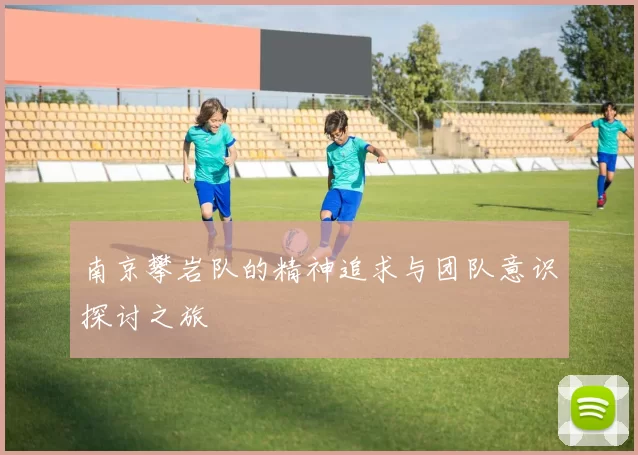 南京攀岩队的精神追求与团队意识探讨之旅