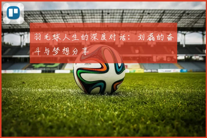 羽毛球人生的深度对话：刘磊的奋斗与梦想分享