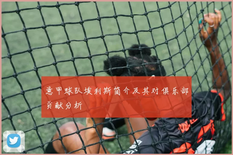 意甲球队埃利斯简介及其对俱乐部贡献分析