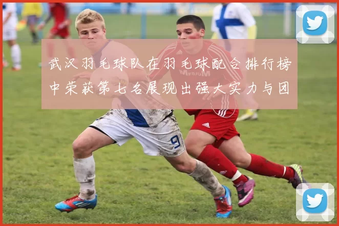 武汉羽毛球队在羽毛球配合排行榜中荣获第七名展现出强大实力与团队协作