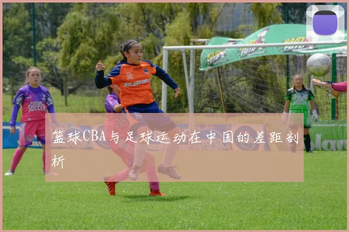 篮球CBA与足球运动在中国的差距剖析