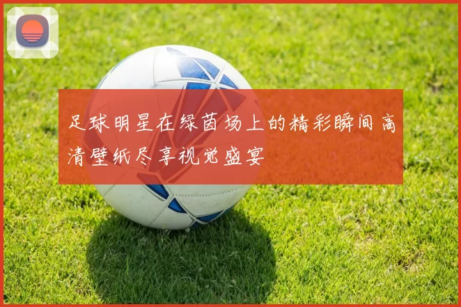 足球明星在绿茵场上的精彩瞬间高清壁纸尽享视觉盛宴
