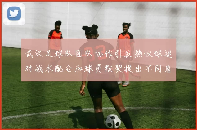 武汉足球队团队协作引发热议球迷对战术配合和球员默契提出不同看法
