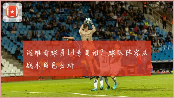诺维奇球员14号是谁？球队阵容及战术角色分析