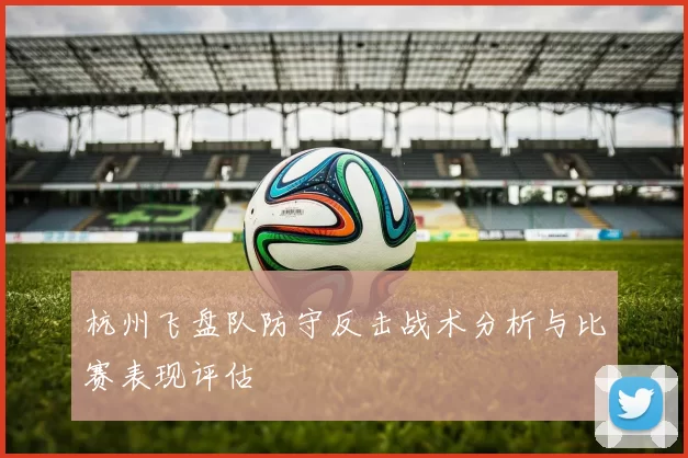 杭州飞盘队防守反击战术分析与比赛表现评估