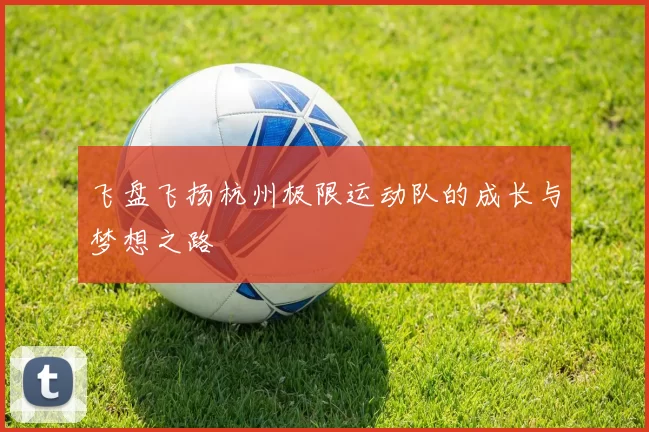 飞盘飞扬杭州极限运动队的成长与梦想之路