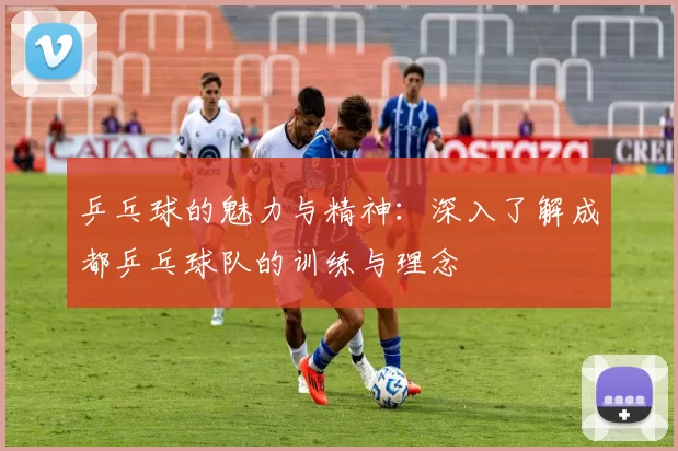 乒乓球的魅力与精神：深入了解成都乒乓球队的训练与理念