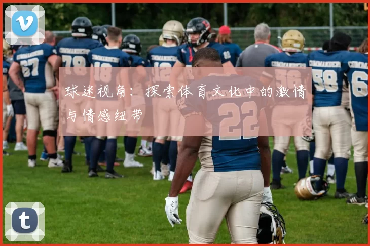 球迷视角：探索体育文化中的激情与情感纽带