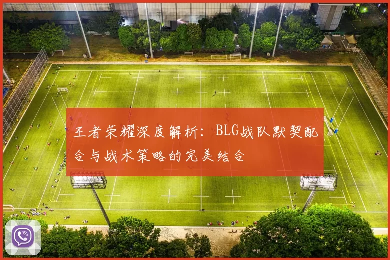 王者荣耀深度解析：BLG战队默契配合与战术策略的完美结合
