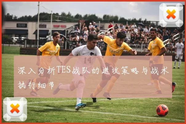 深入分析TES战队的进攻策略与战术执行细节