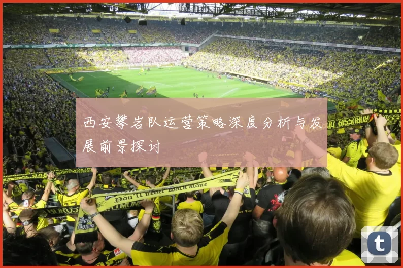 西安攀岩队运营策略深度分析与发展前景探讨