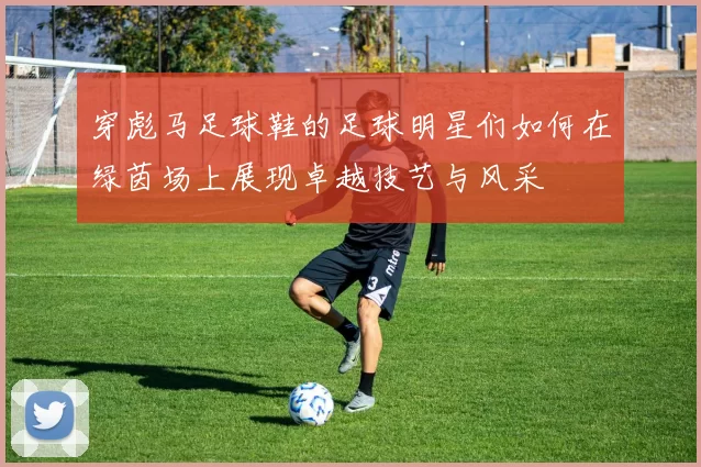 穿彪马足球鞋的足球明星们如何在绿茵场上展现卓越技艺与风采