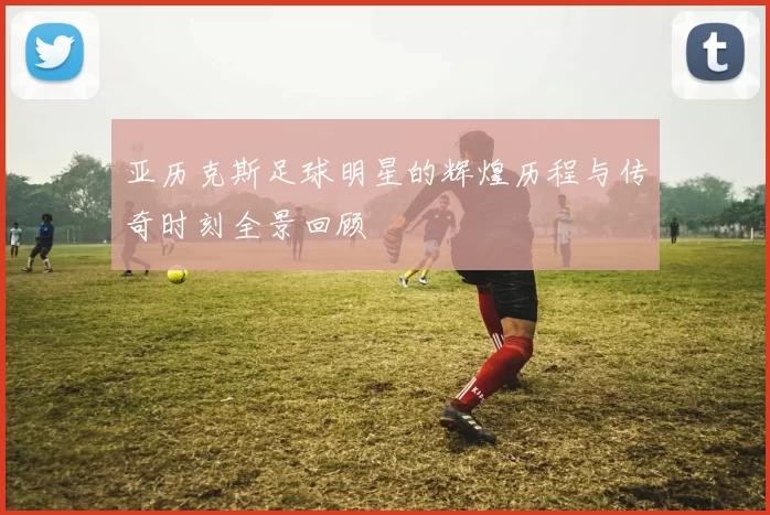 亚历克斯足球明星的辉煌历程与传奇时刻全景回顾