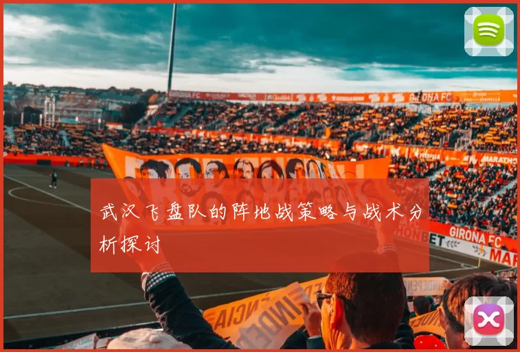武汉飞盘队的阵地战策略与战术分析探讨