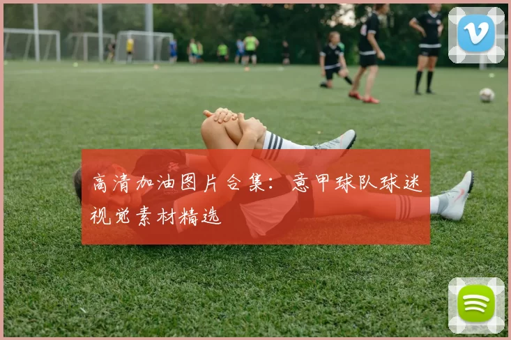 高清加油图片合集：意甲球队球迷视觉素材精选