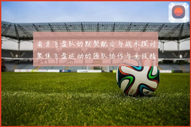 南京飞盘队的默契配合与战术探讨聚焦飞盘运动的团队协作与竞技精神