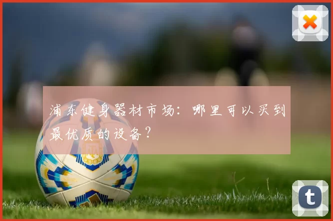 浦东健身器材市场：哪里可以买到最优质的设备？