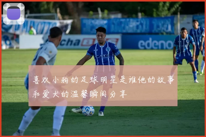 喜欢小狗的足球明星是谁他的故事和爱犬的温馨瞬间分享