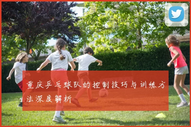 重庆乒乓球队的控制技巧与训练方法深度解析
