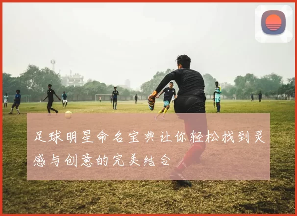 足球明星命名宝典让你轻松找到灵感与创意的完美结合