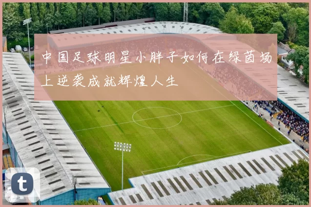 中国足球明星小胖子如何在绿茵场上逆袭成就辉煌人生