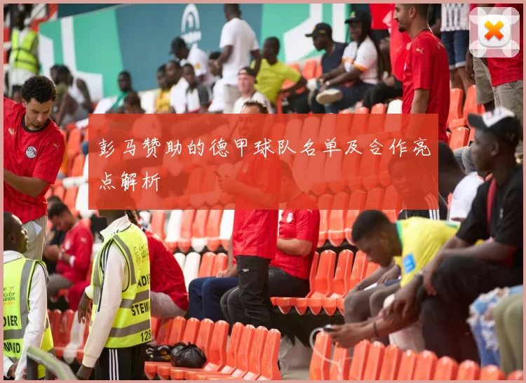 彭马赞助的德甲球队名单及合作亮点解析