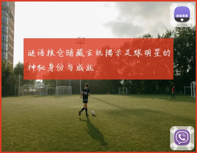 谜语粮仓暗藏玄机揭示足球明星的神秘身份与成就