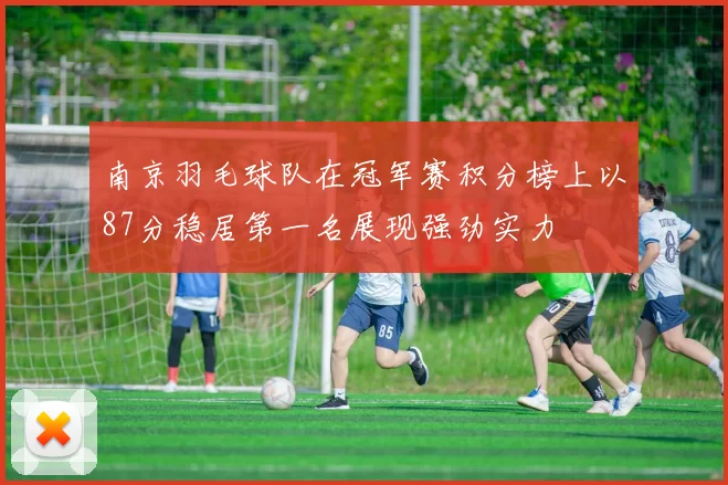 南京羽毛球队在冠军赛积分榜上以87分稳居第一名展现强劲实力