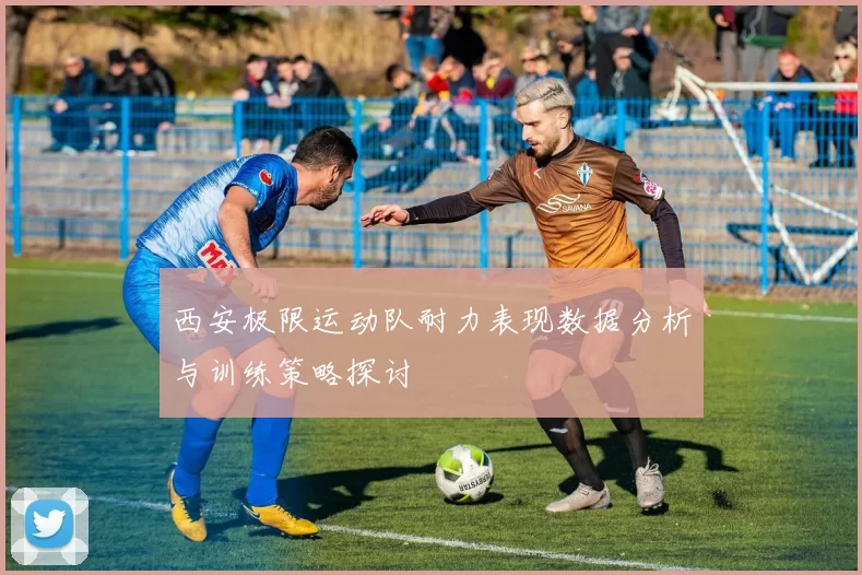 西安极限运动队耐力表现数据分析与训练策略探讨
