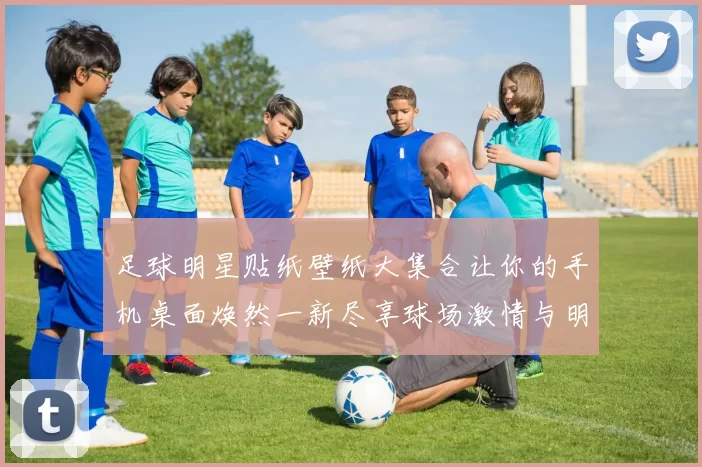 足球明星贴纸壁纸大集合让你的手机桌面焕然一新尽享球场激情与明星魅力