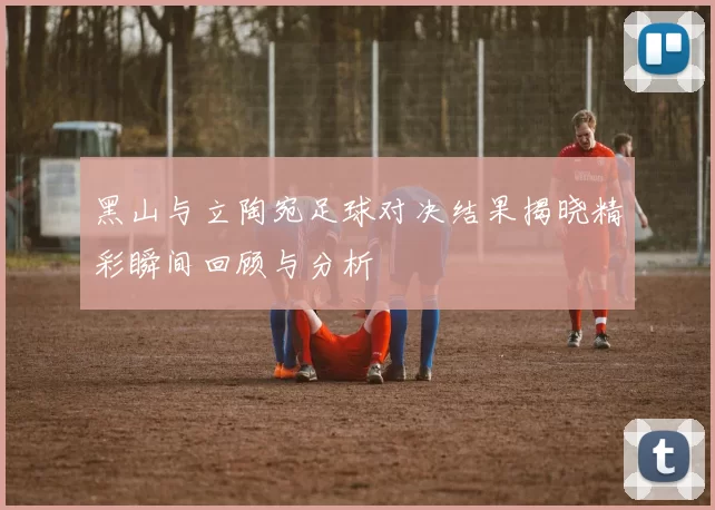 黑山与立陶宛足球对决结果揭晓精彩瞬间回顾与分析