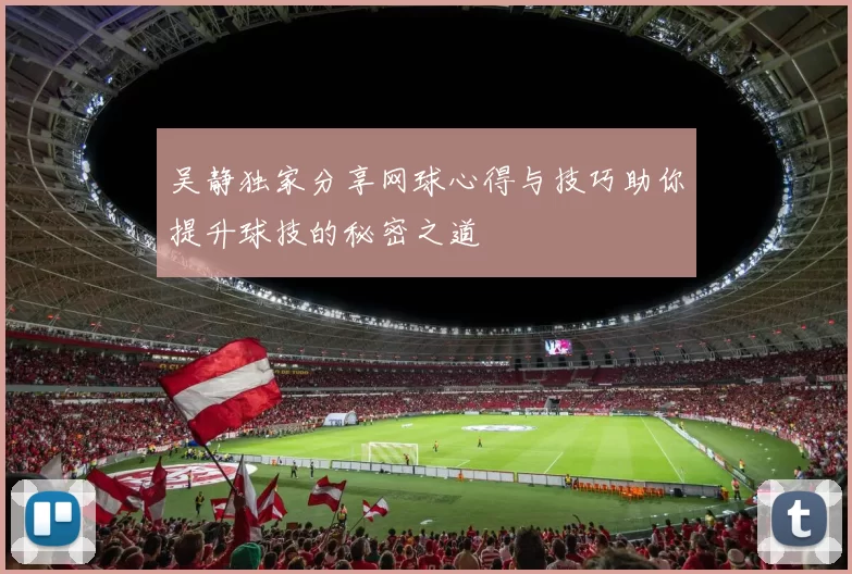 吴静独家分享网球心得与技巧助你提升球技的秘密之道