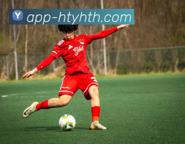 App Interface Preview